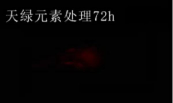 斑马鱼实验天绿元素处理-72h.png 斑马鱼实验天绿元素处理-72h.png