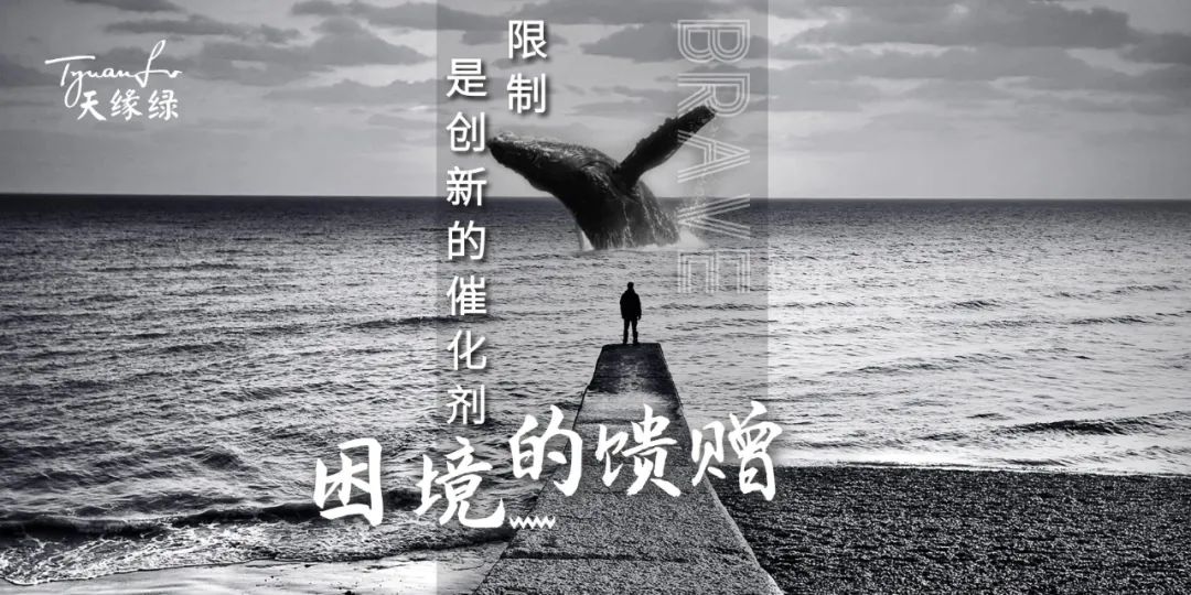 插图4.jpg